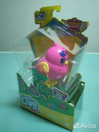 Птичка певунья новая