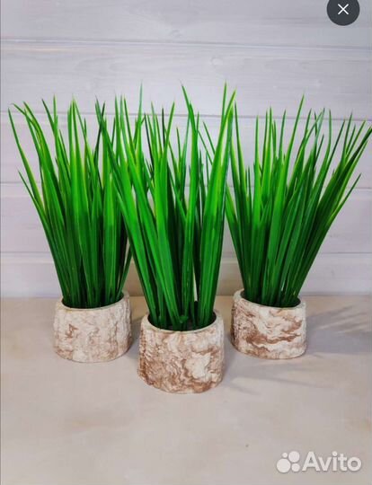 Искусственные цветы Осока в гипсовом кашпо