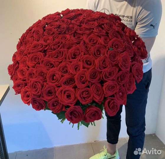 Свежие розы. 25 роз. 51 роза