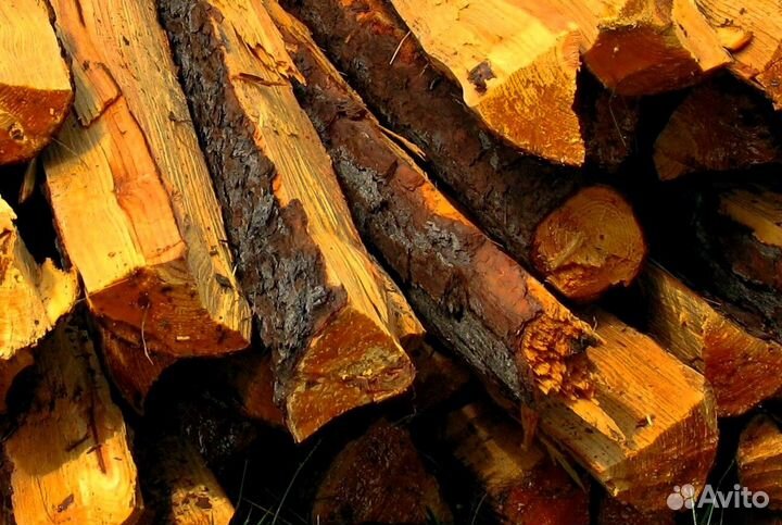 Дрова дубовые от 3м3