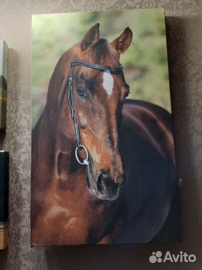 Картины по типу модульных на холсте