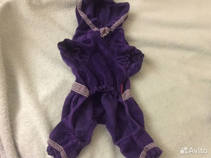 Одежда для собак домашняя