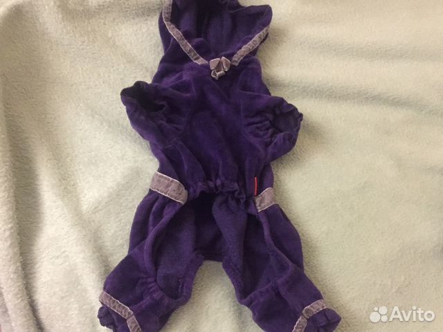 Одежда для собак домашняя