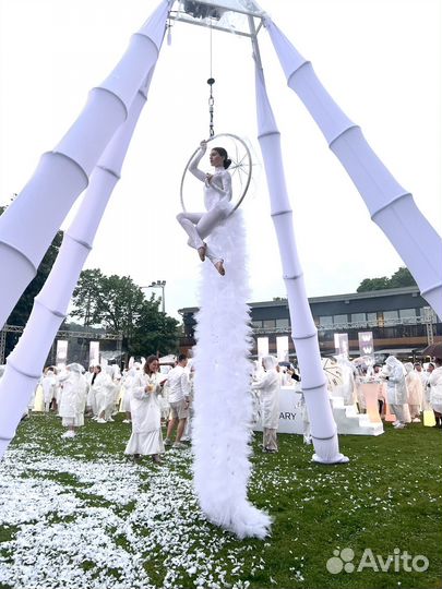 Девушка в бокале / воздушные гимнасты / шоу