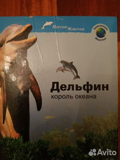 Энциклопедии новые