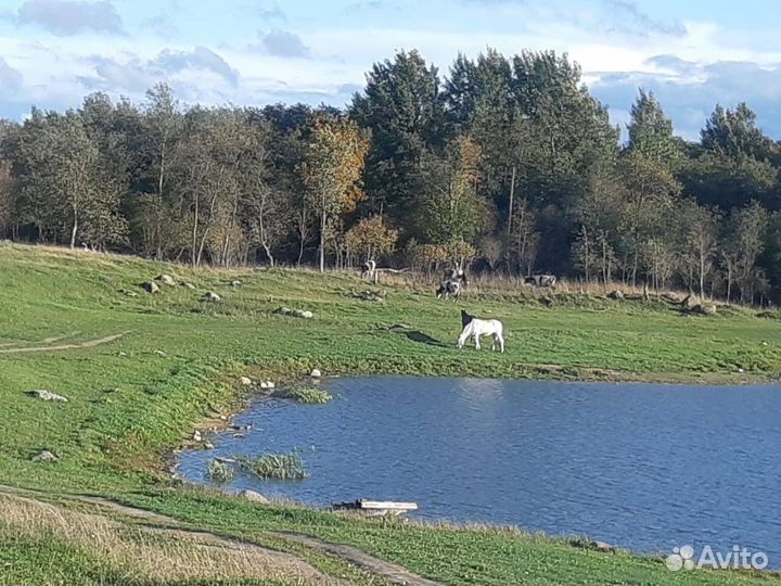 Работник на ферму