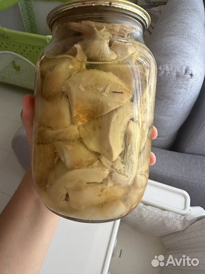 Рыжики Опята