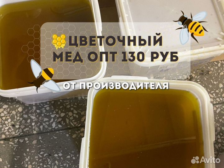 Свежий цветочный мёд. Качка 2023 Оптом