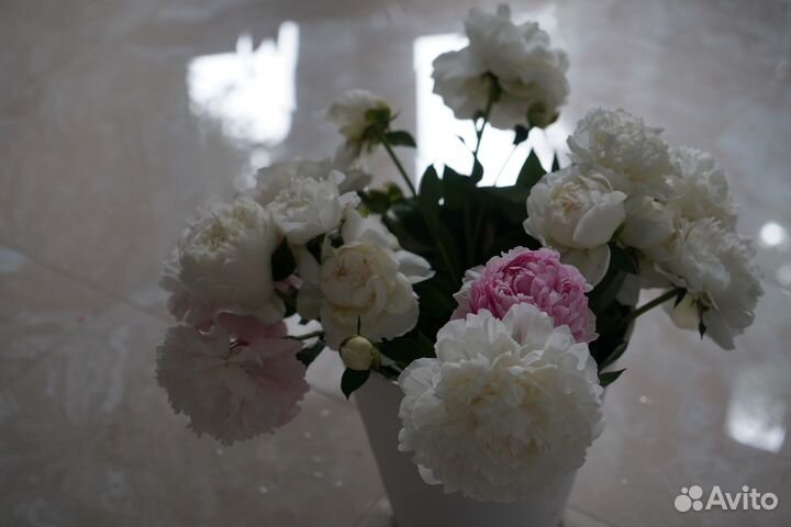 Цветы на срезку