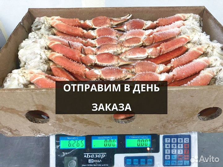 Конечности краба стригуна