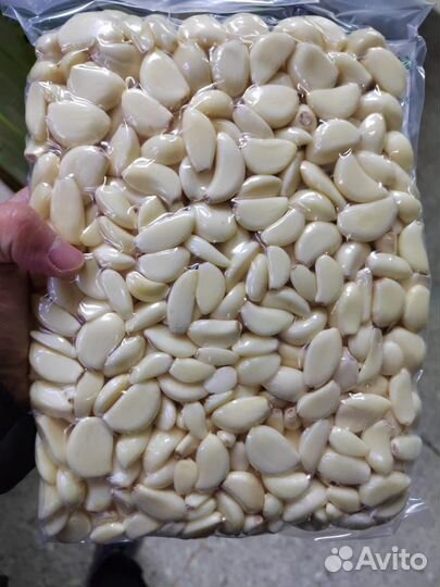 Чеснок оптом