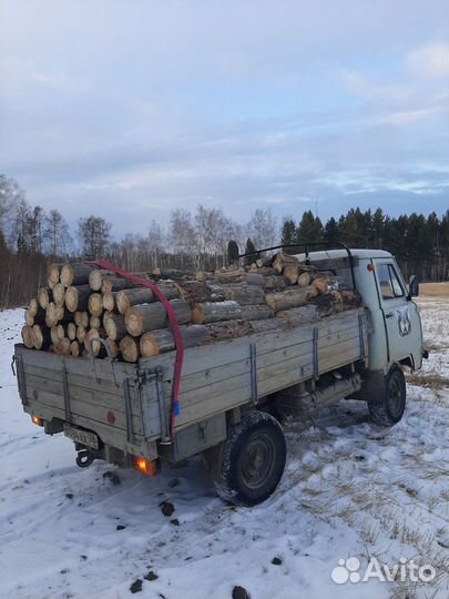 Продам дрова чурками сосна листвяк