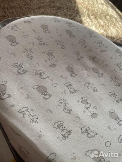 Кокон Зевушка