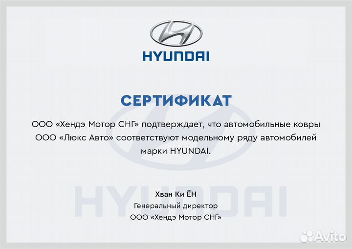 3D Коврики Hyundai Santa Fe 4 3 Экокожа Салон Бага