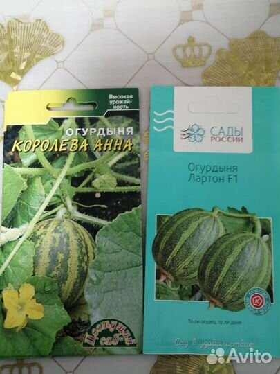 Рассада и семена