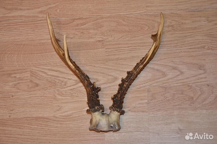 Ключница, рога косули, бамбук, ваза