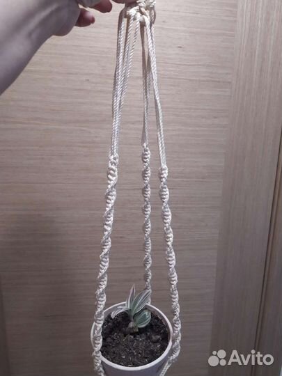 Кашпо для цветов