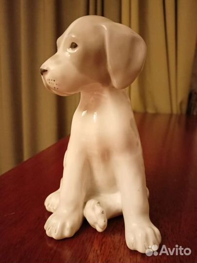 Фарфоровая статуэтка Щенок мраморного дога лфз