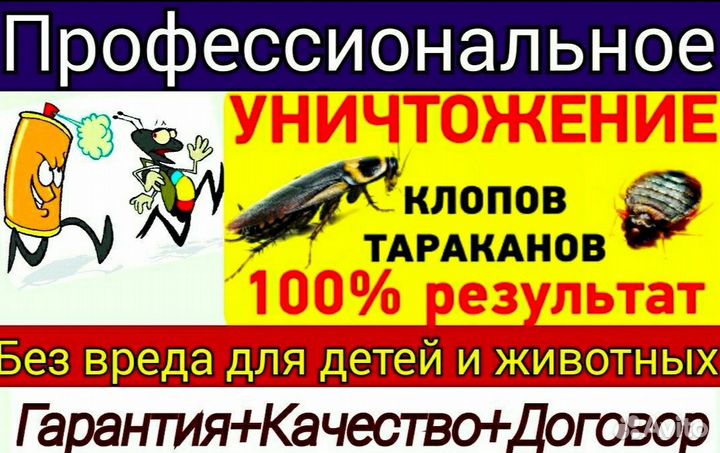 Дезинфекция помещений