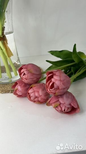 Пионовидные тюльпаны