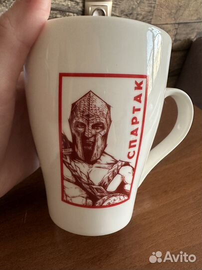 Атрибутика спартак-москва (fcsm)