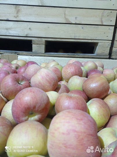 Яблоки фуджи