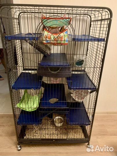 Клетка для грызунов очень большая на колесах