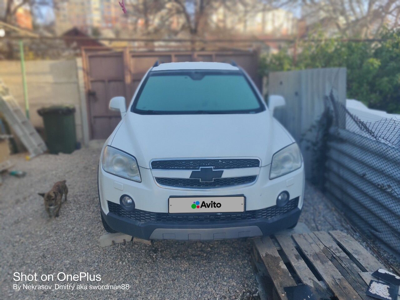 Chevrolet Captiva: фото владельца