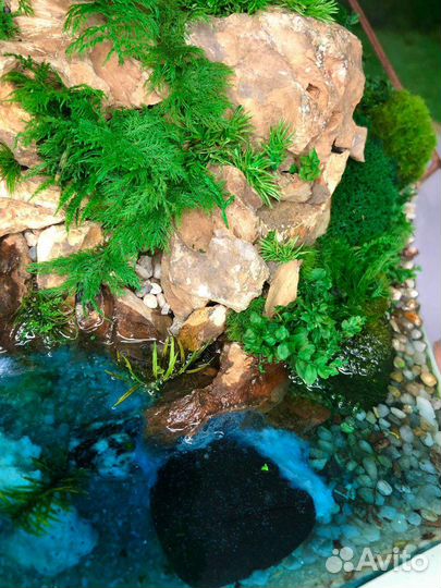 Моссариум. Декор. Подарок