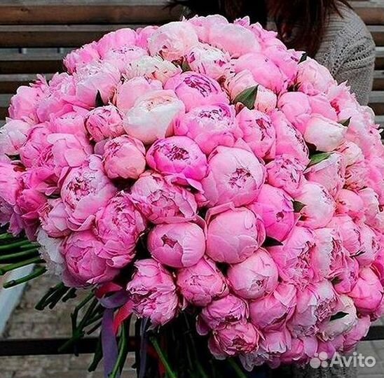 Пионы Розы Доставка