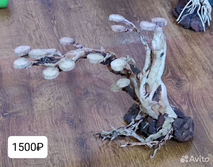 Коряга для аквариума бонсай