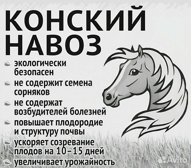 Конский навоз