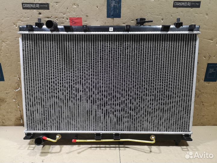 Радиатор двс tadashi TD-036-CAR20-26, 01333061, 10