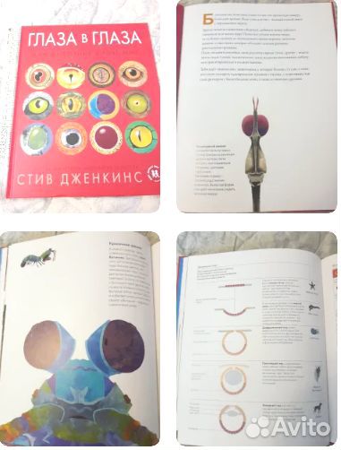 Мир природы Оуэн Дэйви Книга узлов Винди Чьен