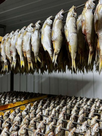 Рыба вяленая азовская малосол опт