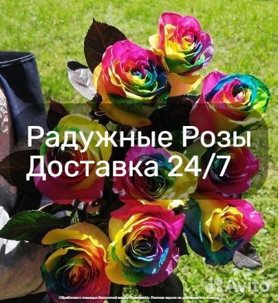 Цветные Розы Москва мо
