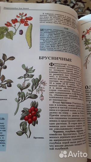 Детская энциклопедия Биология