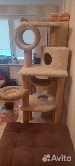 Игровой комплекс для кошки.мало б у. Высота 2 м