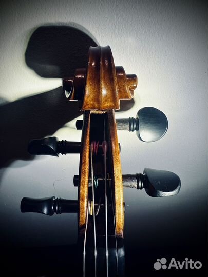 Аренда скрипки и смычка 1/2