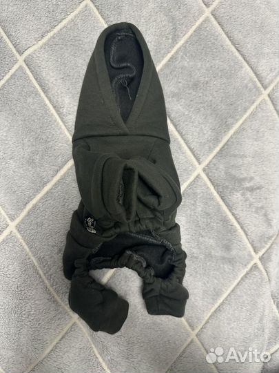 Одежда для собак мелких пород