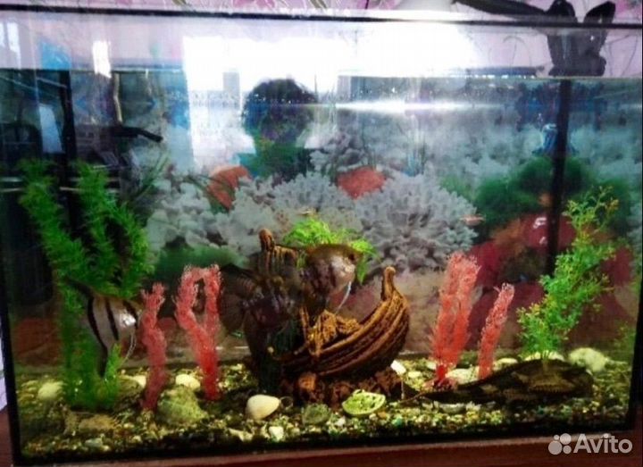Аквариум