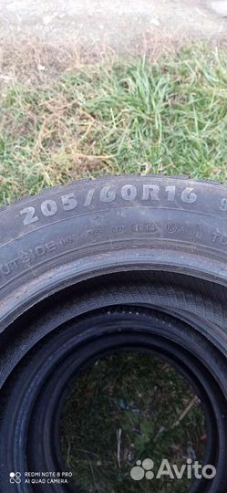 Brasa IceControl 205/60 R16