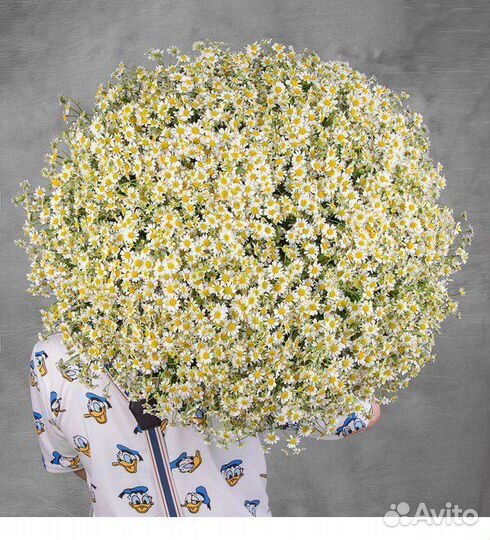 Букет из ромашек 11 21 31 41 51