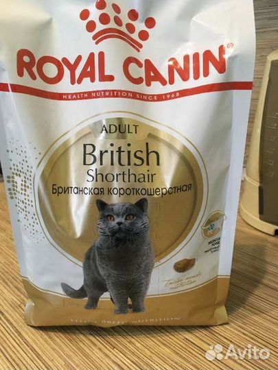 Корм Royal Canin maine coon 4кг мэйн кун british