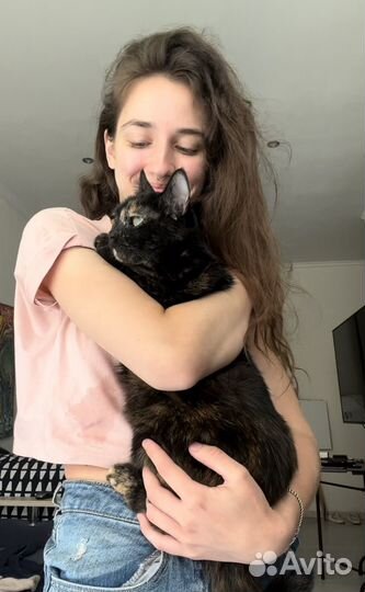 Передержка животных