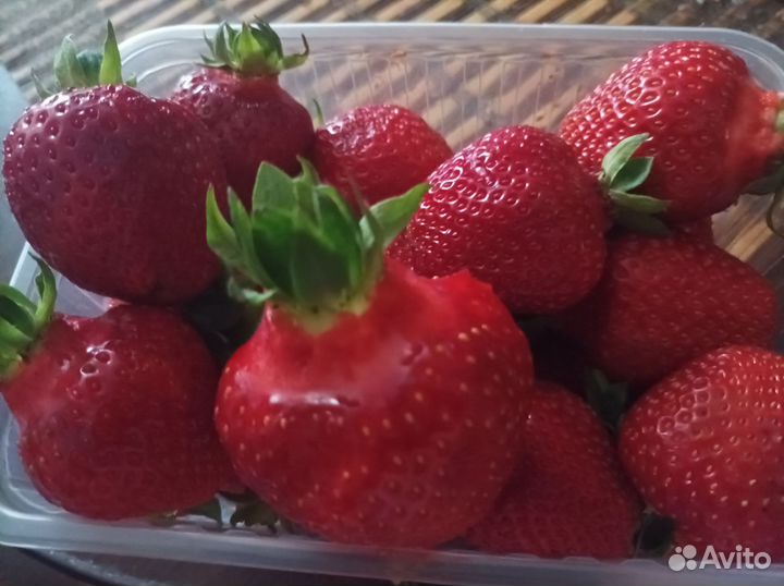 Клубника ягода