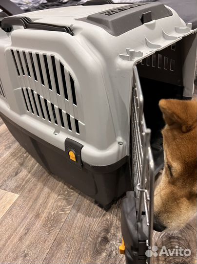 Переноска для собак