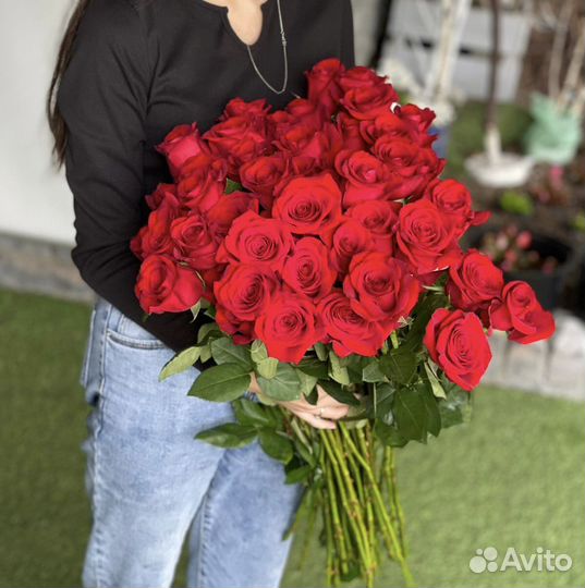 Розы роза цветы