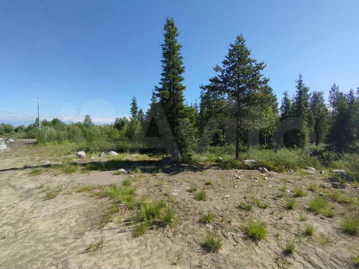 Участок 15 сот. (ИЖС)