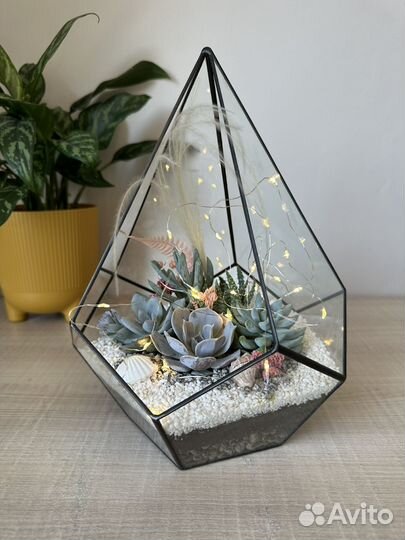 Флорариум с суккулентами
